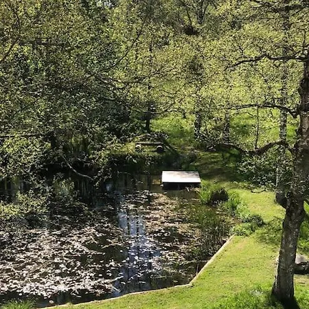 Exklusives Mit Schwimmbad Im Allgaeu