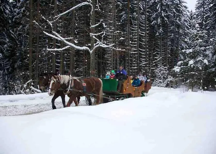 Апартаменты Exklusives Mit Schwimmbad Im Allgaeu *